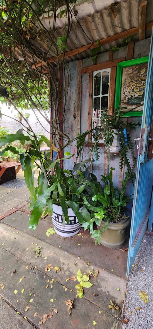 Área externa com plantas do Perfil Barber Shop